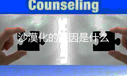 原因化的么沙漠是什